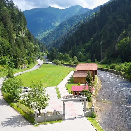 Raha * أوزونغول